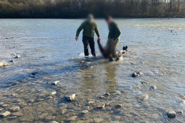 Прикордонники врятували батька з сином, які ледь не втопилися у річці, намагаючись незаконно потрапити в Румунію